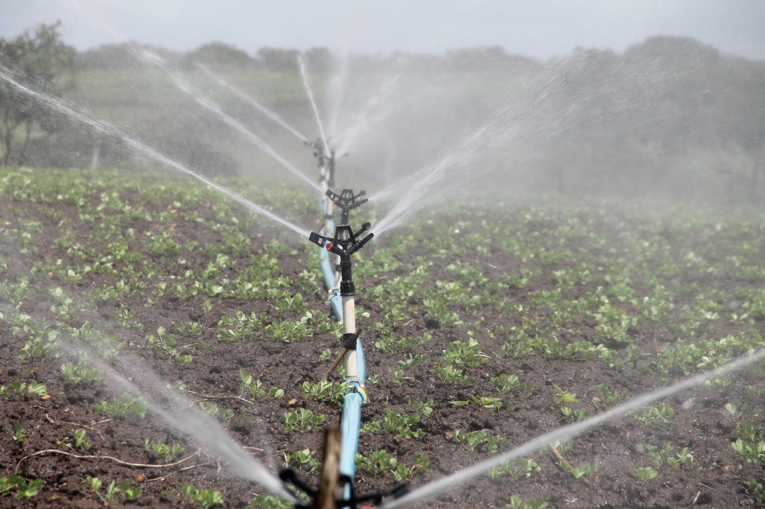 which of the following best describes the advantages and disadvantages of drip irrigation?