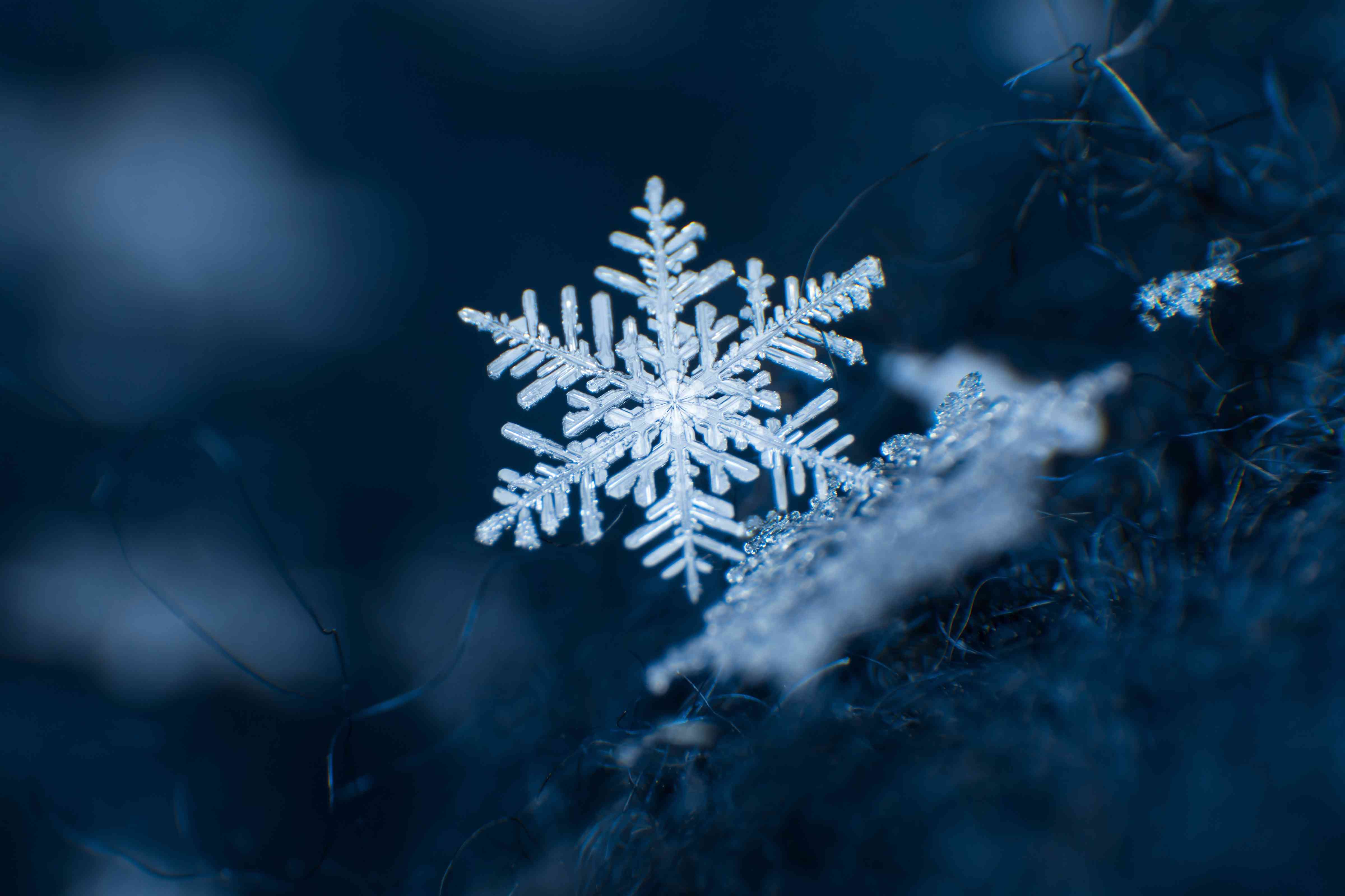 sleet forms directly from which type of precipitation? snowflakes hail rain droplets dust