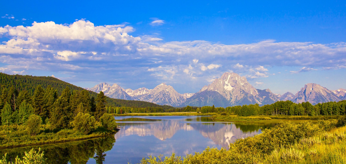 what are people from wyoming called