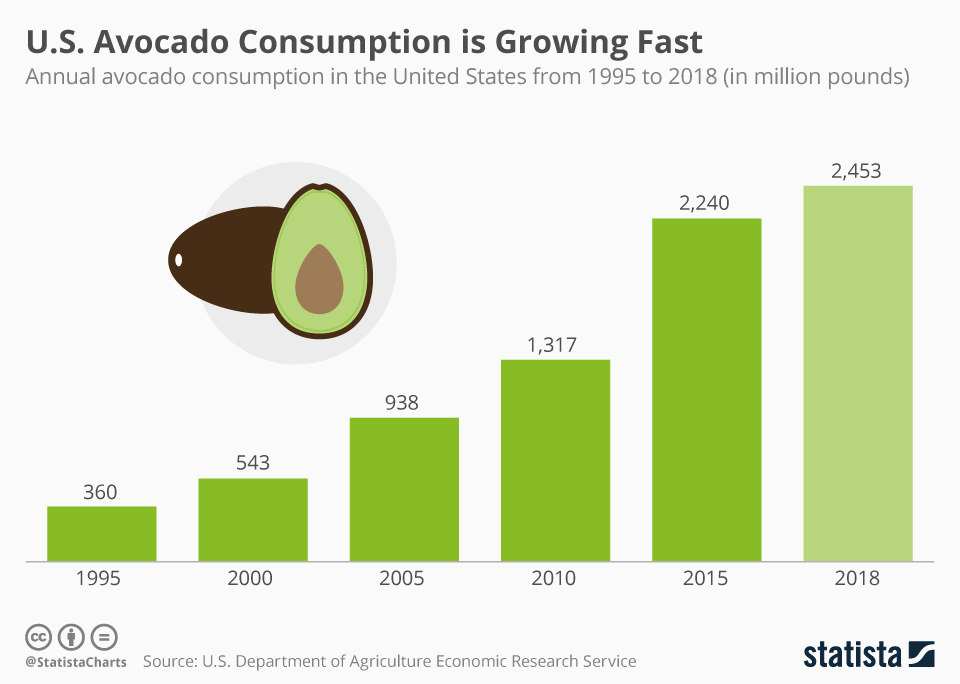 how many avocados in a pound