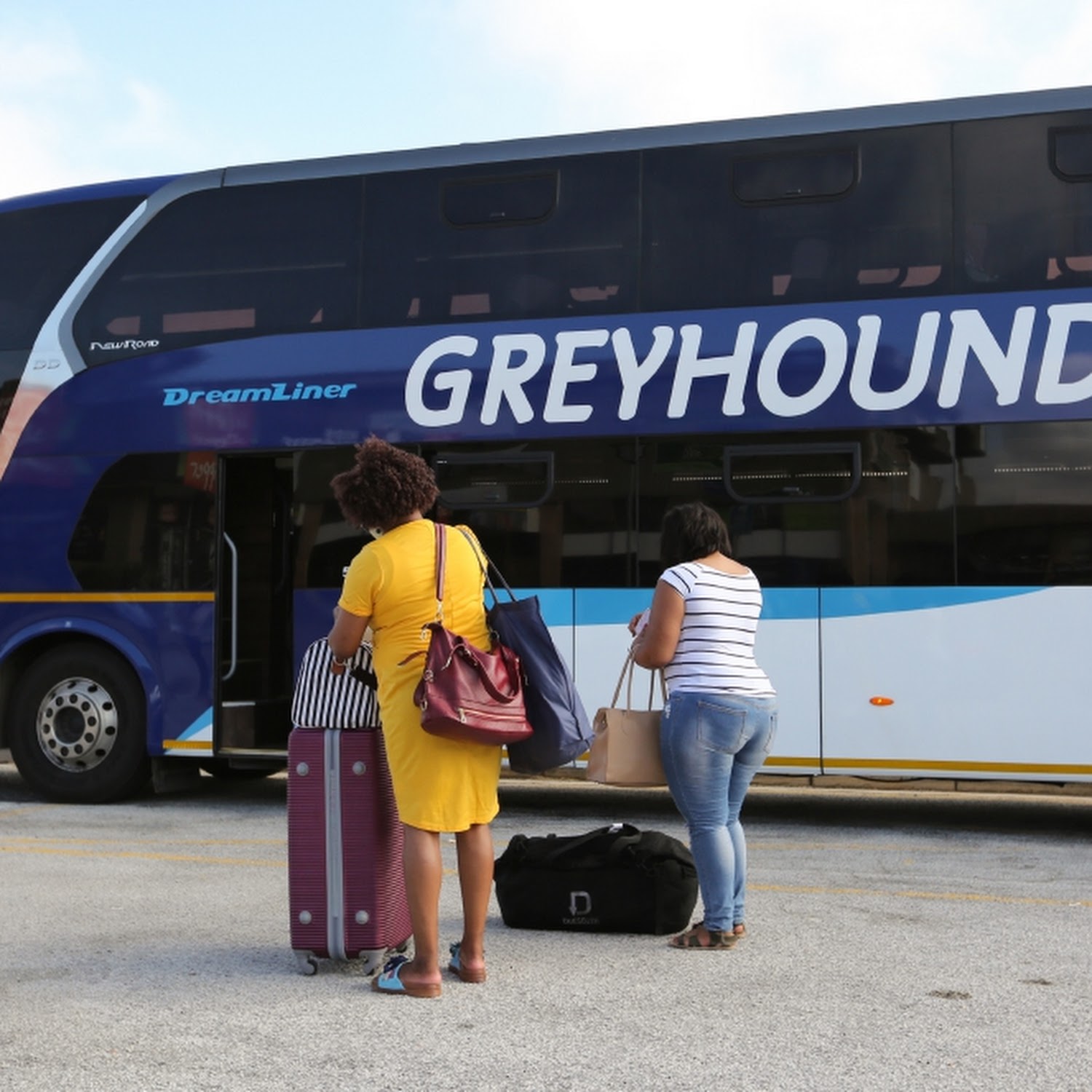 how many seats are on a greyhound bus