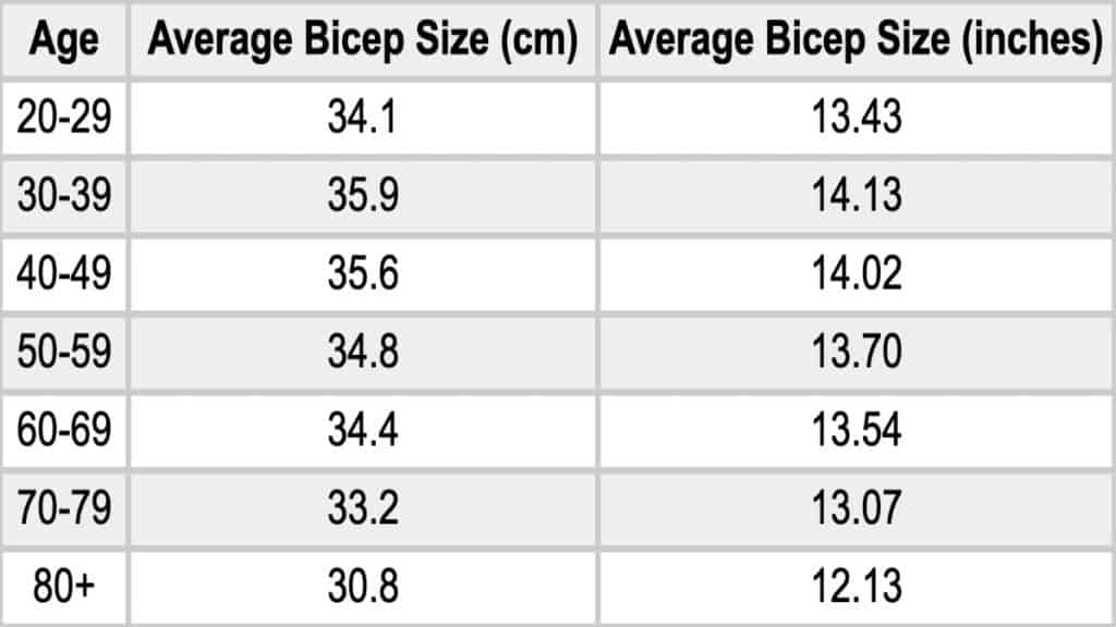 average bicep size