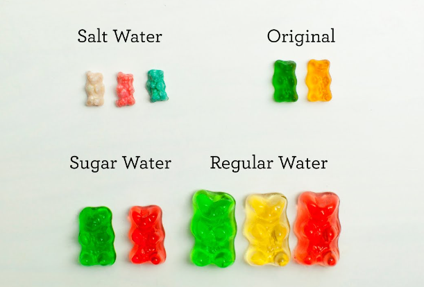 how long does it take to digest gummy bears