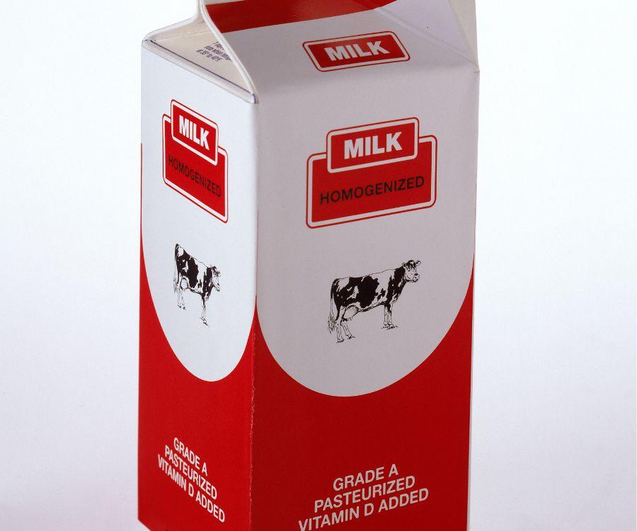 carton of milk ml