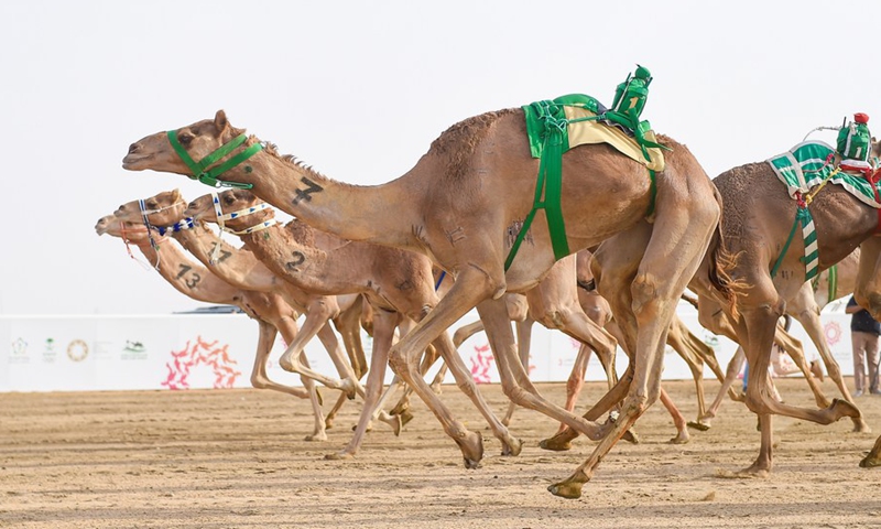 camel top speed