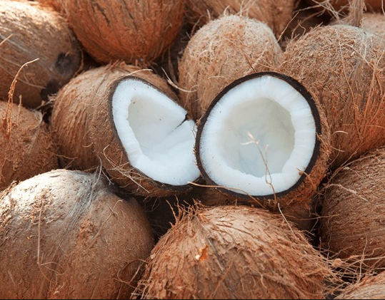 coconut average weight