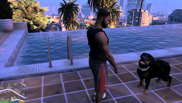 comment promener chop gta 5 ps4