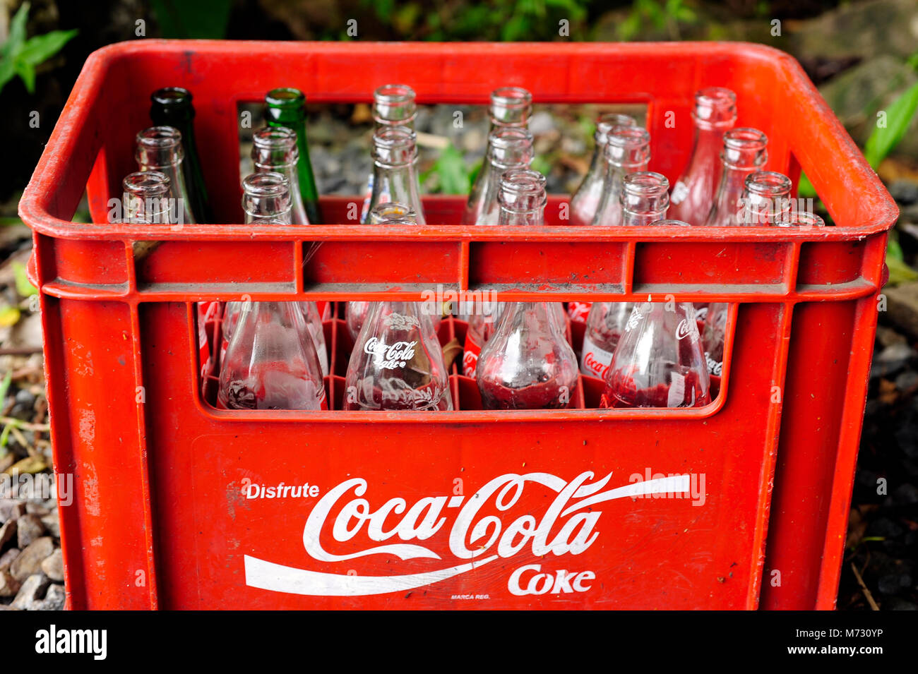 how many sodas in a case