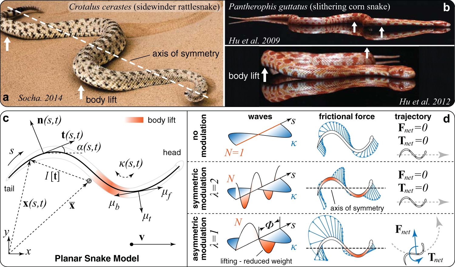 how fast can a python move