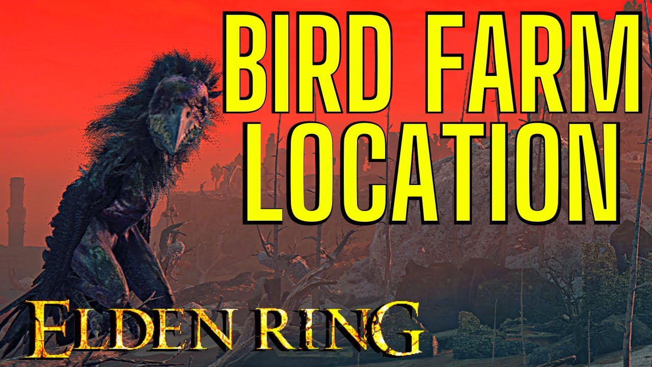 elden ring bird farm