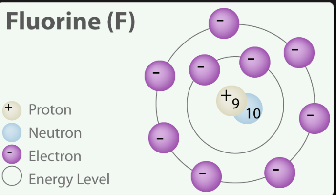 how many protons neutrons and electrons does fluorine have