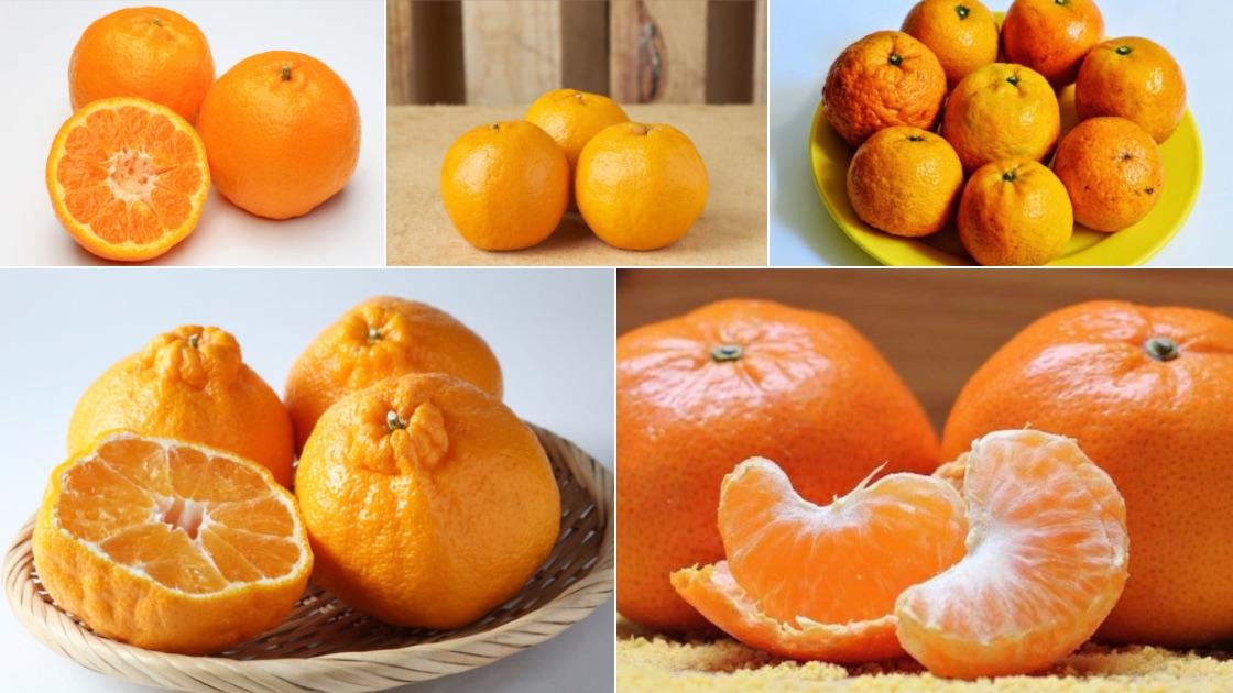 how to store mandarin oranges