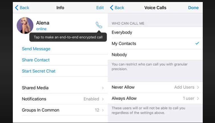 Communicate Effectively: Sending Voice Messages on Telegram - A Step-by ...