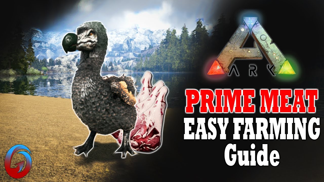 how to get prime meat ark