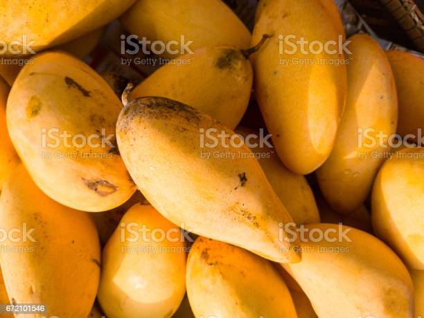 how much does one mango weigh