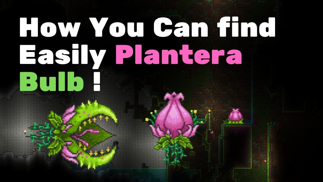 plantera bulb