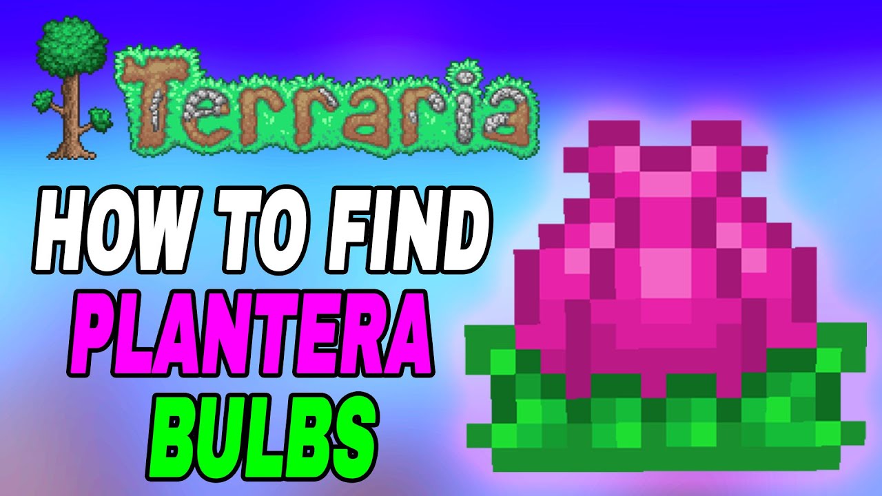 plantera bulb