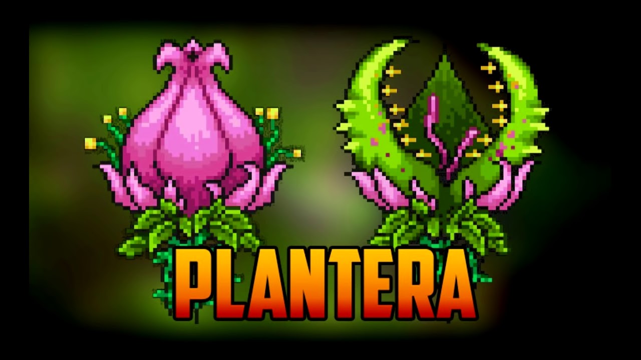 plantera bulb