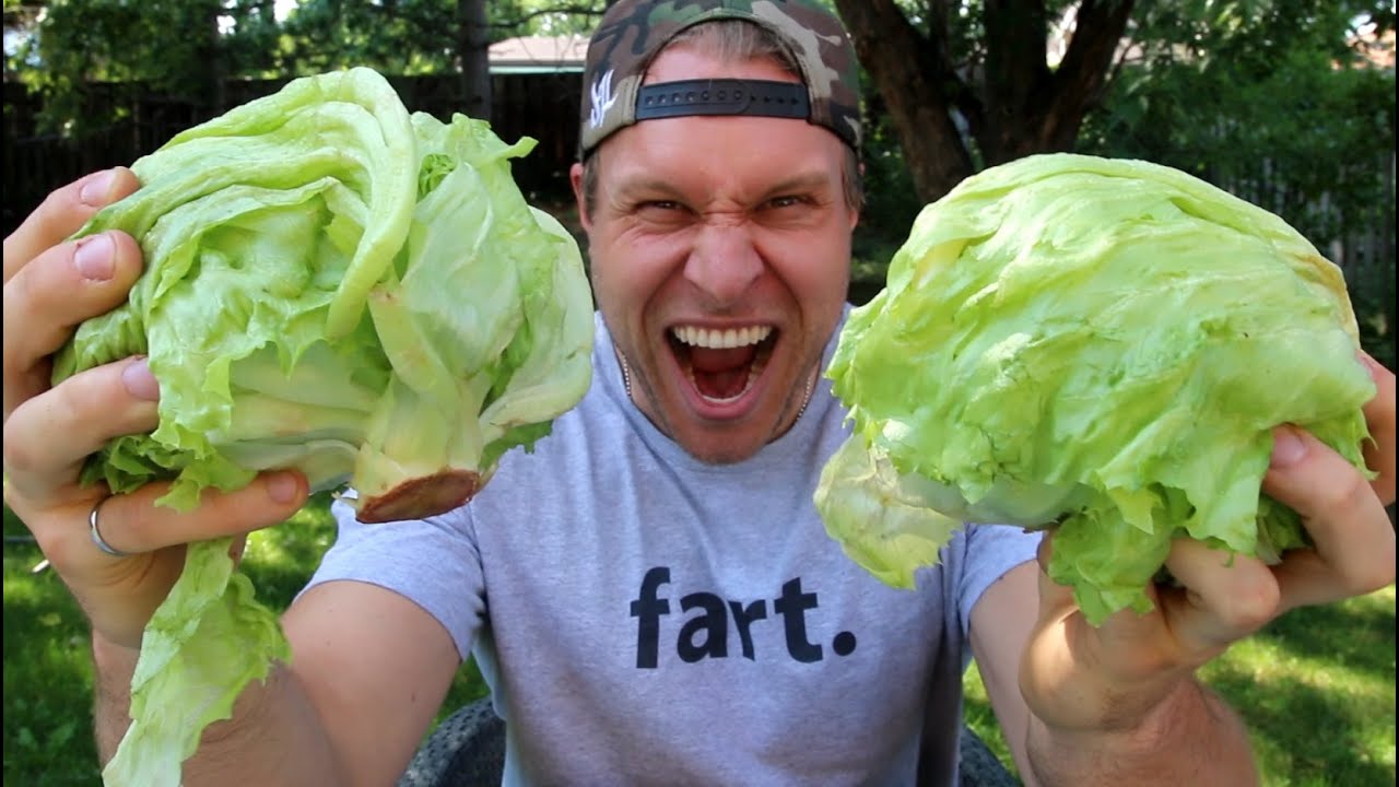 is lettuce man made