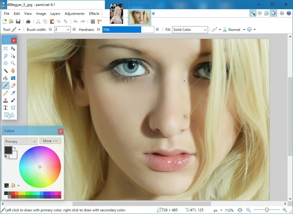 paint.net skin color