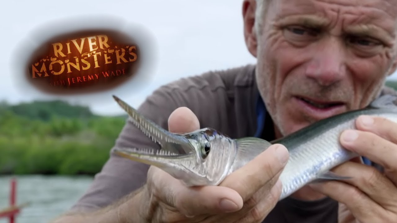 how many languages does jeremy wade speak