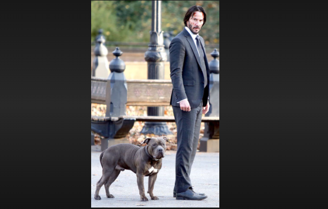 how tall is john wick