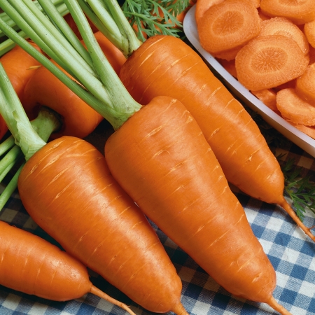 medium carrot weight