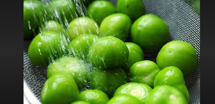 how many tomatillos in a pound