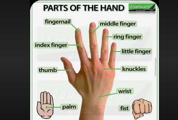 what does 4 fingers up mean