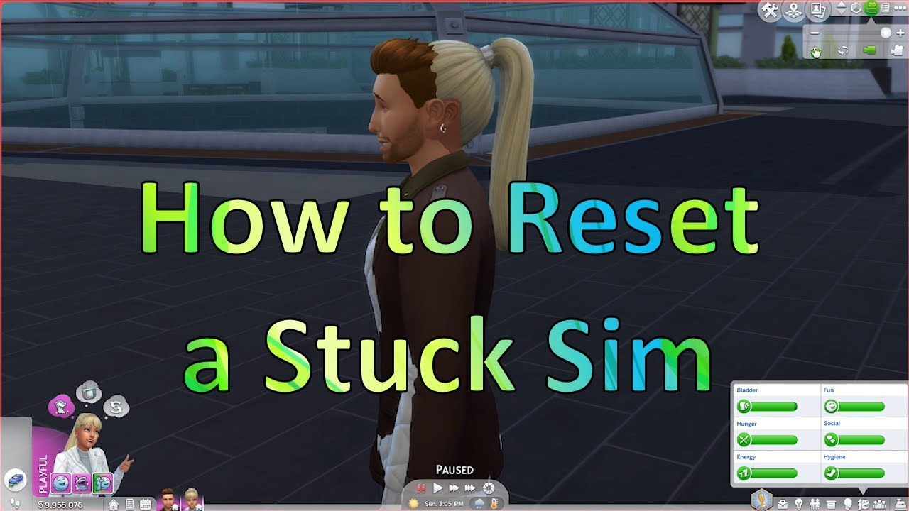 how to reset sims in sims 3
