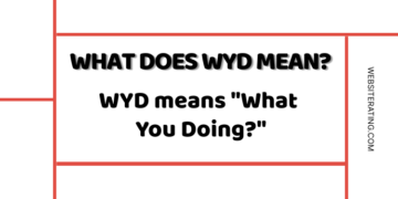 wyd meaning in chat