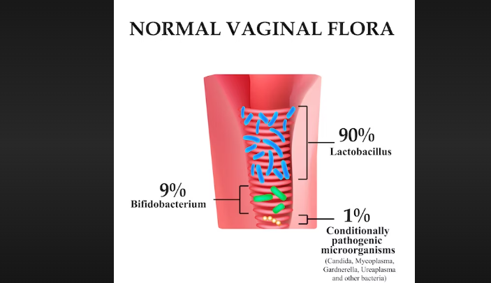 mixed genital flora isolated