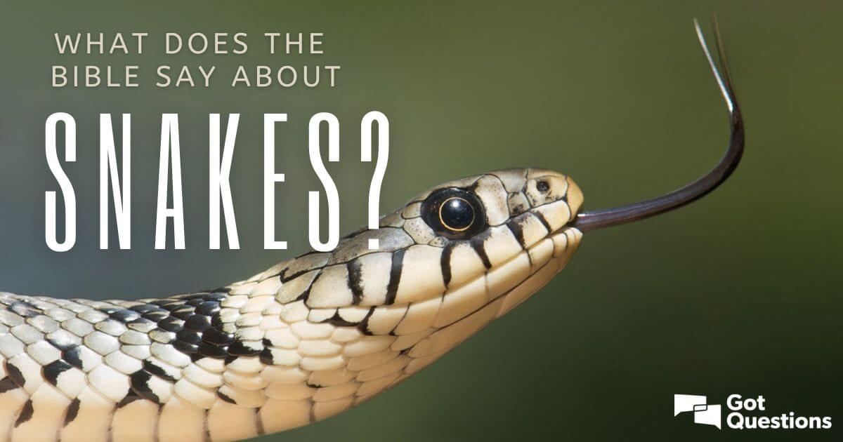 what is the biblical meaning of snakes in a dream