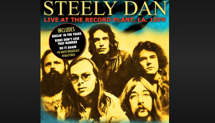 do it again lyrics steely dan meaning