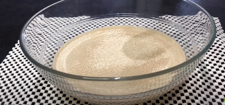 what does dead yeast look like