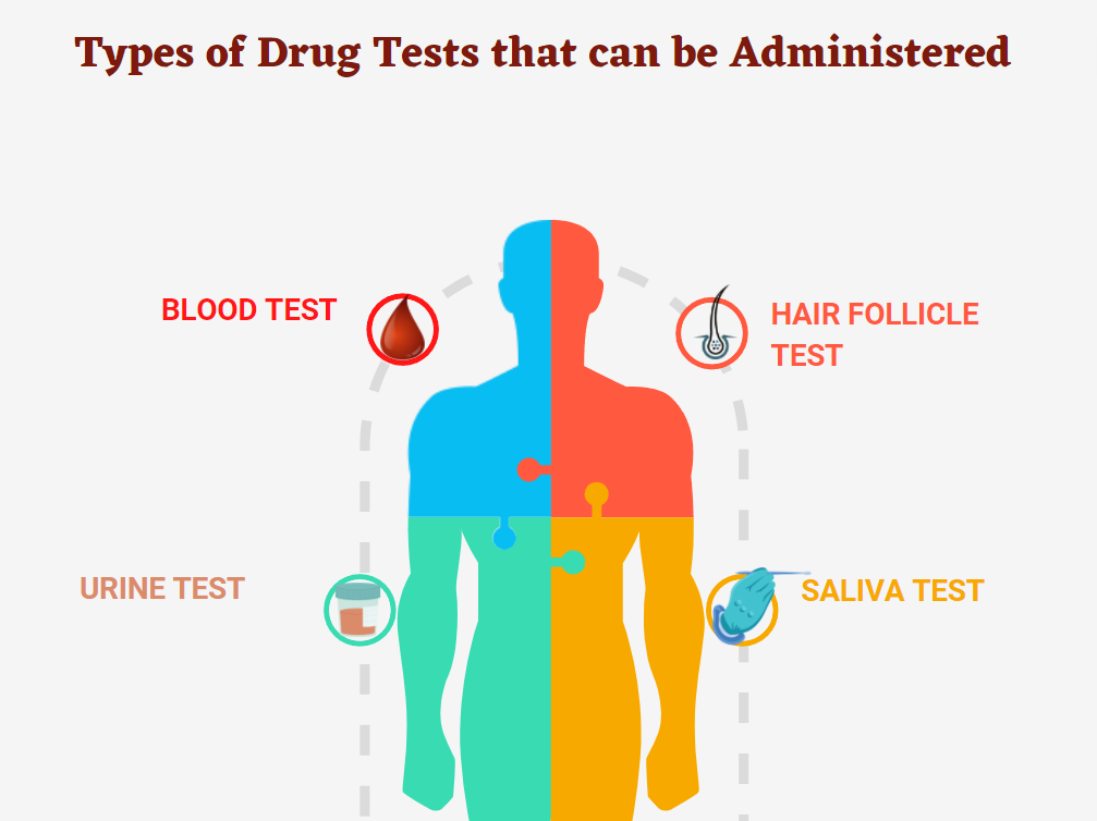 how to force yourself to pee for a drug test