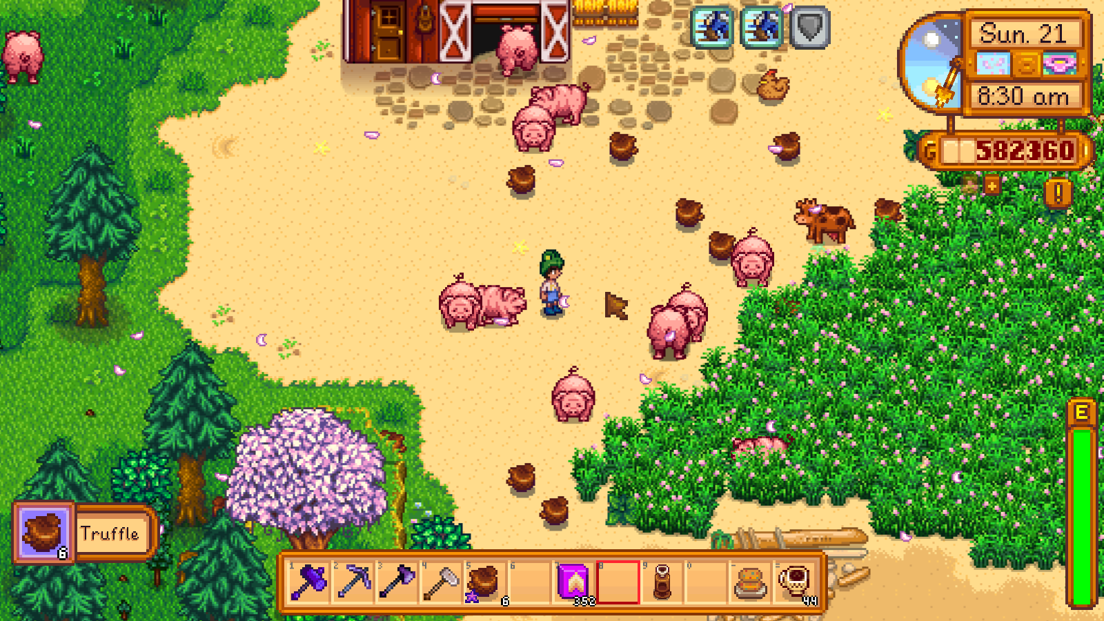 truffle stardew